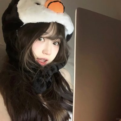 飞贼黑猫